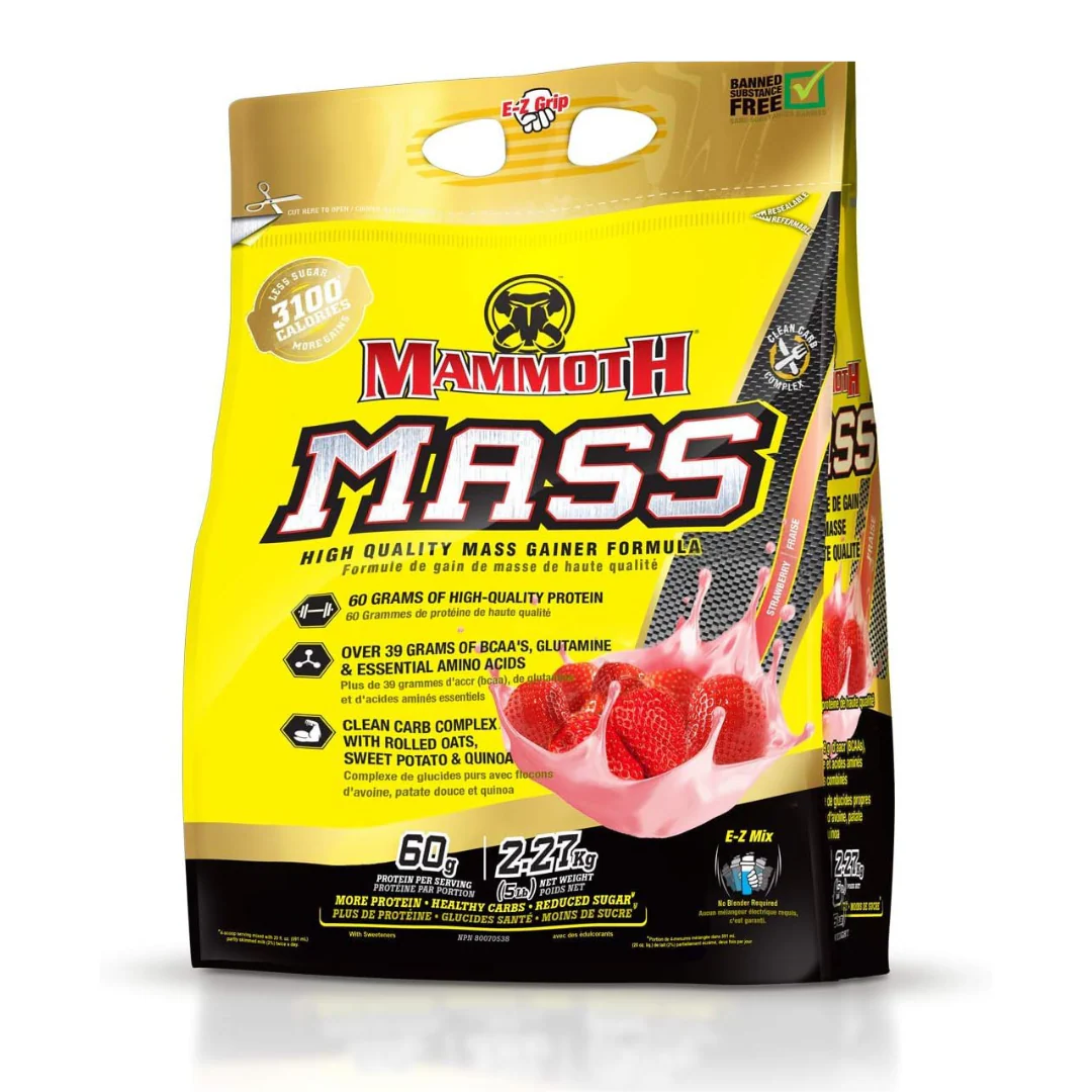 Mammoth Mass 5lbs - Image 4